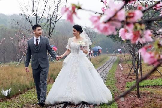 完美体育官网乘“樱花小火车”穿梭花海十八罗汉山樱花节揭幕(图1)